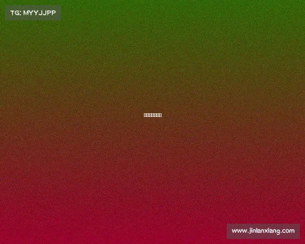 拾光游戏工作室